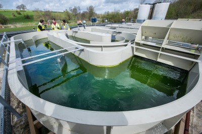 ALGAE TRIALS