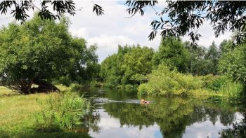 ANGLIAN WATER - RIVER NR GT BROMLEY WRC