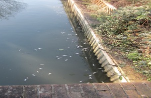 ANGLIAN WATER Stanground Lode pollution