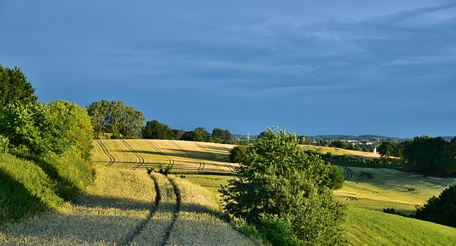 Agriculture landscape