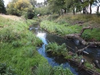 BEVERLEY BROOK RICHMOND PARK 1