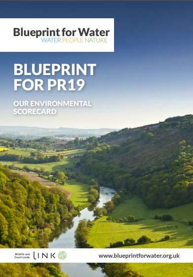 BLUEPRINT FOR WATER SCORECARD