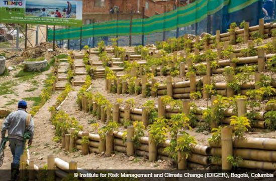 Bogota-slope-stabilizationv2