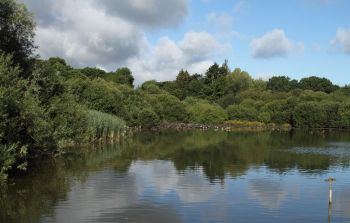 CHARD RESERVOIR SOMERSET