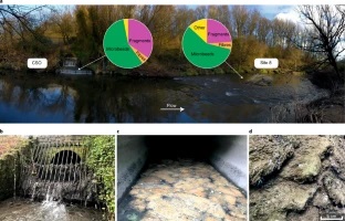 CSO OUTFALL MICROPLASTIC CHANNEL BED CONTAMINATION