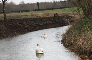 DREDGED__SCRAPED_BACK_RIVER_BANKS.jpg