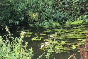 FARMING POLLUTION FROME WATERCOURSE
