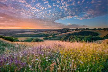 Jacobs UK Ecosystem Survey