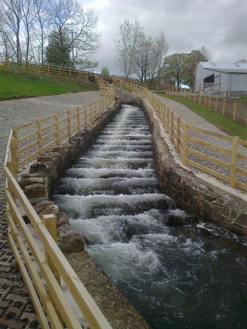 Restored spillway web