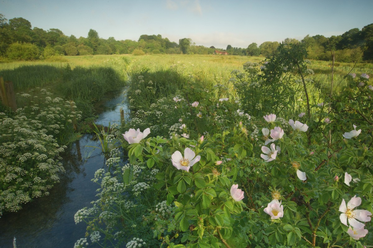 River Itchen Hampshire 2