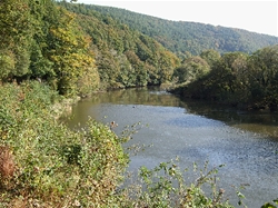 River Tamar
