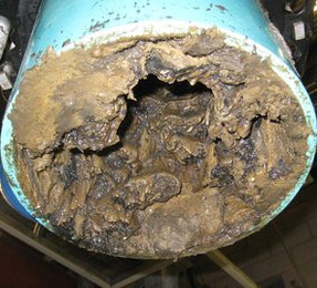 Fat blocked sewer piipe thumbnal