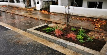 THAMES WATER rain garden 2 1