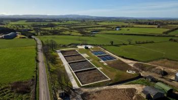 NI WATER reed beds at Aghanloo WwTW