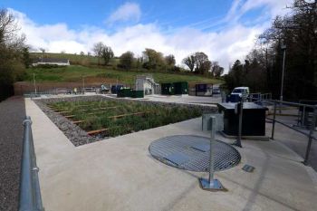 NI Water Monea WWTW reedbed