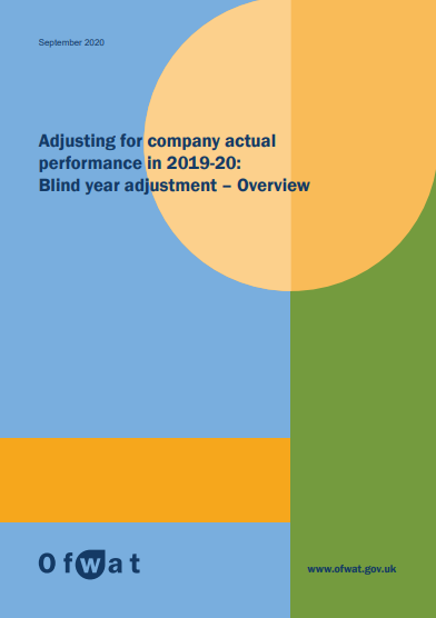 OFWAT BLIND YEAR CONSULTATION