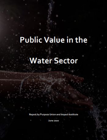 PUBLIC VALUE IN THE WATER SECTOR