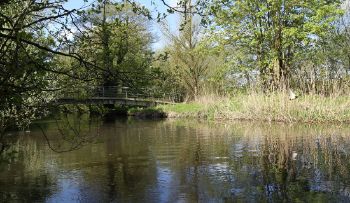 RIVER_GENERIC_ANGLIAN_WATER.jpg
