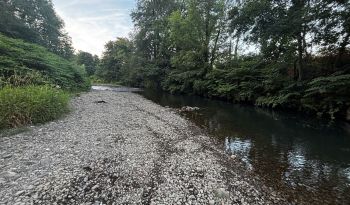 River Ebbw low flow