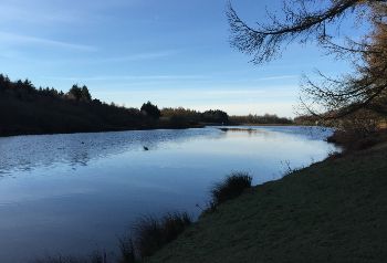 WALSHAM_DEAN_RESERVOIRS.jpg