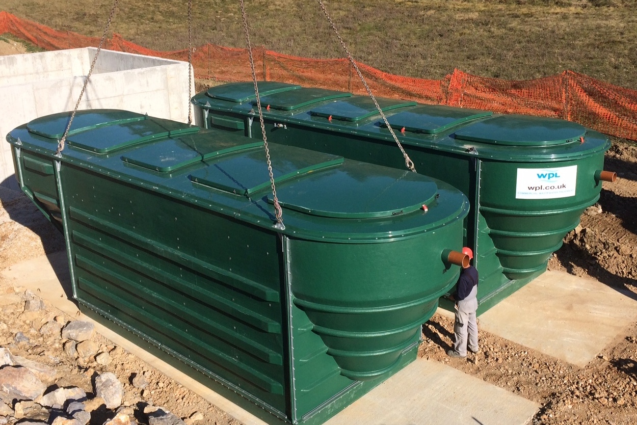 WPL 3 Hipaf x 2 plants Zdenska