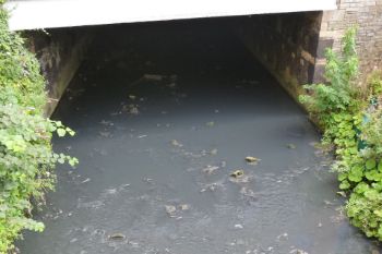 YORKSHIRE WATER BRADFORD BECK SEWAGE POLLUTION 1