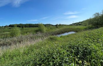 YORKSHIRE WATER Lundwood landscape