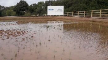 YORKS_WATER_CLIFTON_WWTW_Planting_in_cells_1.jpg