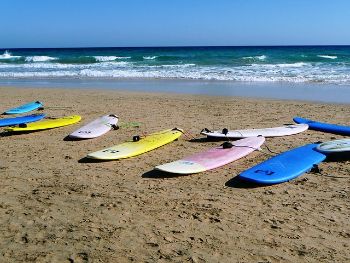 surfboards sea 1